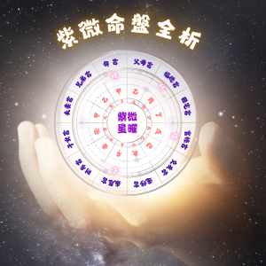 紫微命盤全析