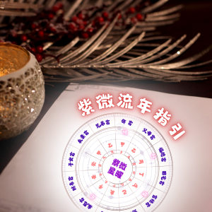 紫微流年指引